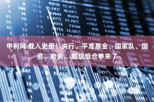 中利网 载入史册！央行、平准基金、国家队、国资、险资…超级组合拳来了