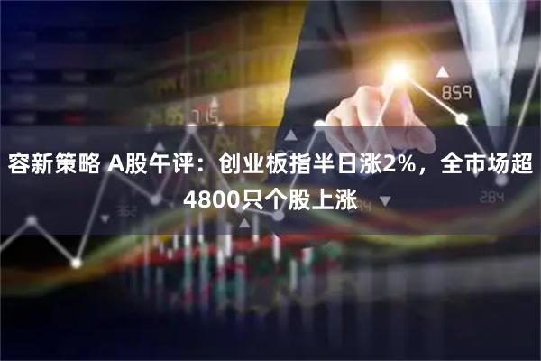 容新策略 A股午评：创业板指半日涨2%，全市场超4800只个股上涨