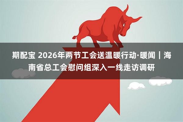 期配宝 2026年两节工会送温暖行动·暖闻｜海南省总工会慰问组深入一线走访调研