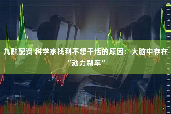 九融配资 科学家找到不想干活的原因：大脑中存在“动力刹车”