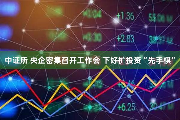 中证所 央企密集召开工作会 下好扩投资“先手棋”