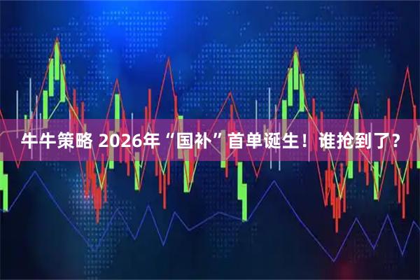 牛牛策略 2026年“国补”首单诞生！谁抢到了？